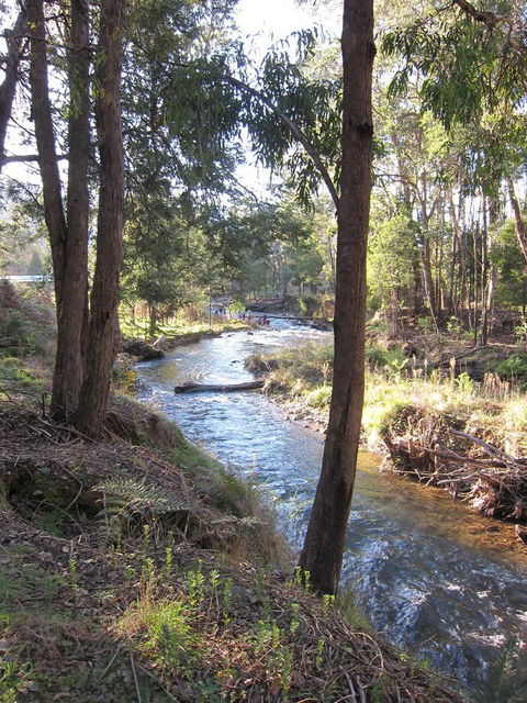 The Harrietville Snowline Hotel - Yamba Accommodation 35