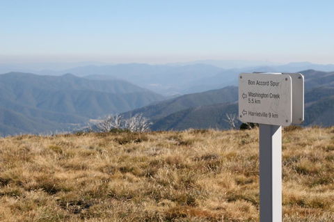 The Harrietville Snowline Hotel - Yamba Accommodation 31