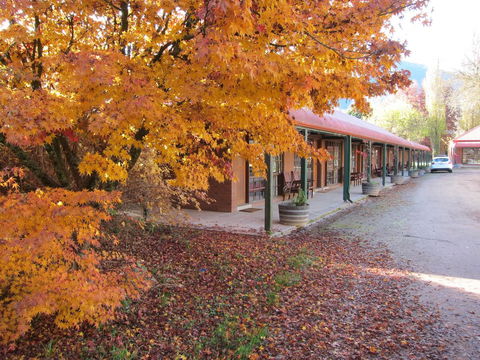 The Harrietville Snowline Hotel - Yamba Accommodation 21