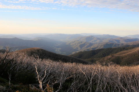 The Harrietville Snowline Hotel - Yamba Accommodation 36