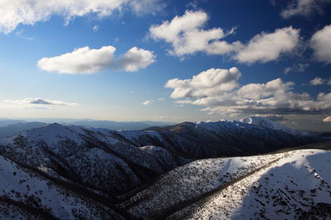 The Harrietville Snowline Hotel - Yamba Accommodation 9