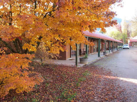 The Harrietville Snowline Hotel - Yamba Accommodation 14