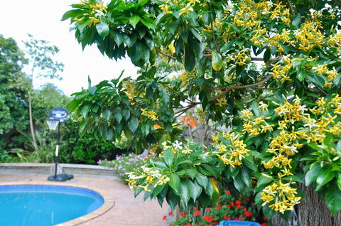 Crimea Retreat - Yamba Accommodation 20