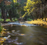 Goldfield Holiday Units - Yamba Accommodation