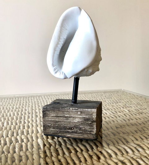 Sea Shells On Banyan Apartment - Yamba Accommodation 9