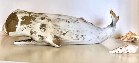 Sea Shells On Banyan Apartment - Yamba Accommodation 4