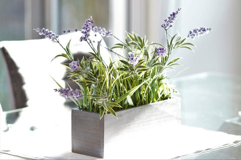 Tamara Temptation - Yamba Accommodation 23