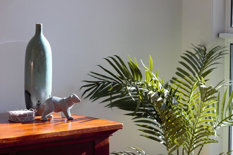 Tamara Temptation - Yamba Accommodation 22