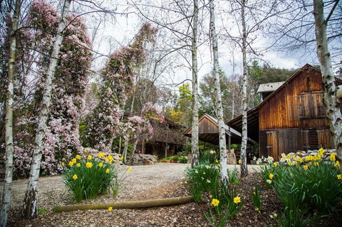 Lothlorien - Yamba Accommodation 0