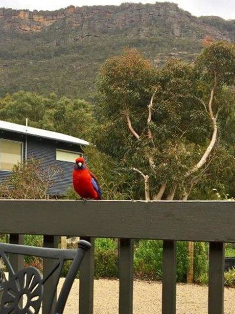 Kangurra Holiday House - Yamba Accommodation 15