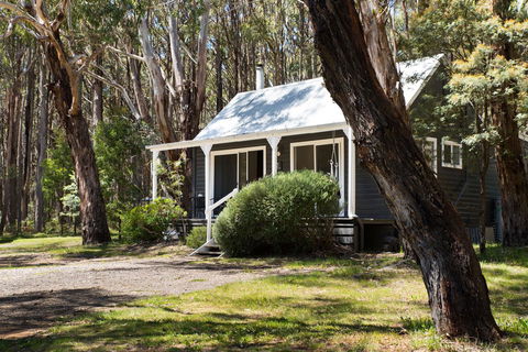 Bodhi Daylesford - Yamba Accommodation 26