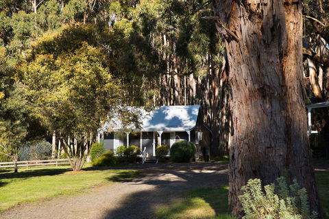 Bodhi Daylesford - Yamba Accommodation 8
