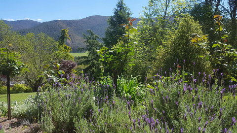 Abbys Cottages Bright - Yamba Accommodation 33