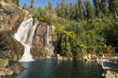 Lithgow Falls Marysville - Yamba Accommodation 17