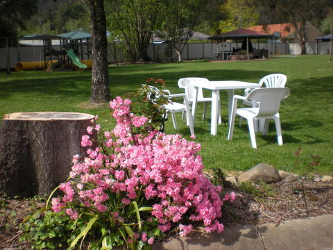 Willow Dene Holiday Apartments - Yamba Accommodation 24