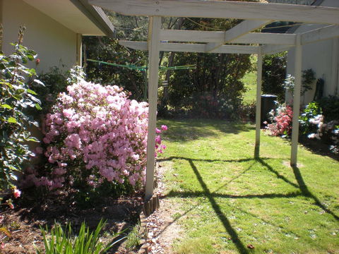 Willow Dene Holiday Apartments - Yamba Accommodation 25