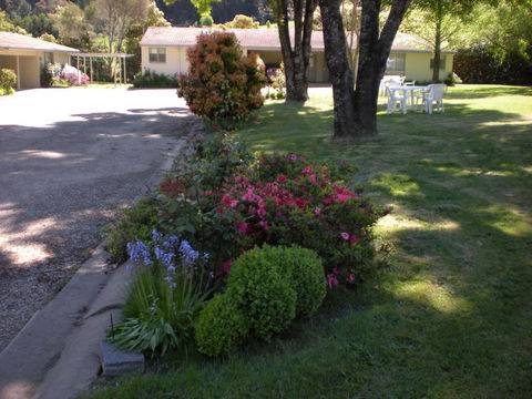 Willow Dene Holiday Apartments - Yamba Accommodation 22