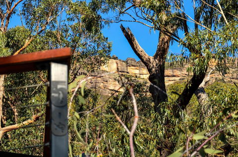 Blue Ridge Retreat - Yamba Accommodation 14
