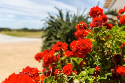 Cottages For Couples - Yamba Accommodation 13