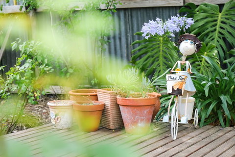 Miss Pym's Cottage - Yamba Accommodation 7