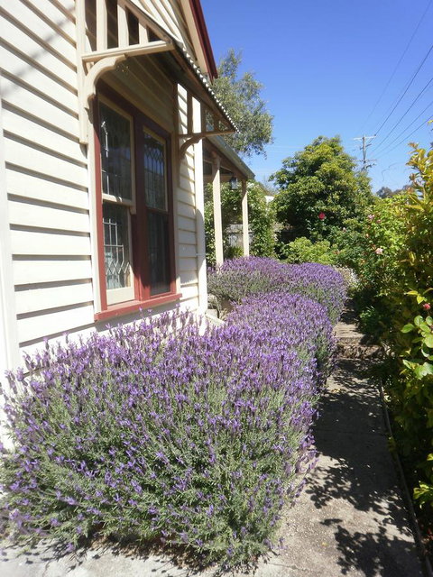 Miss Pym's Cottage - Yamba Accommodation 44