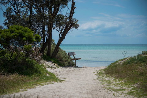 Jettycove Beach House - Yamba Accommodation 26