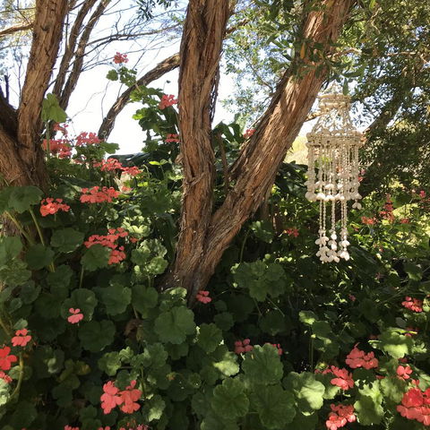 The Fingal Farm - Yamba Accommodation 27