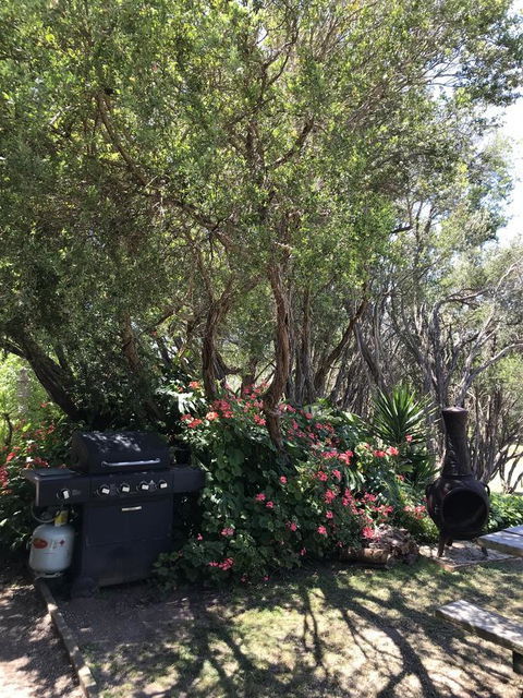 The Fingal Farm - Yamba Accommodation 24