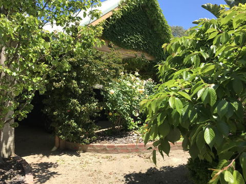 The Fingal Farm - Yamba Accommodation 34