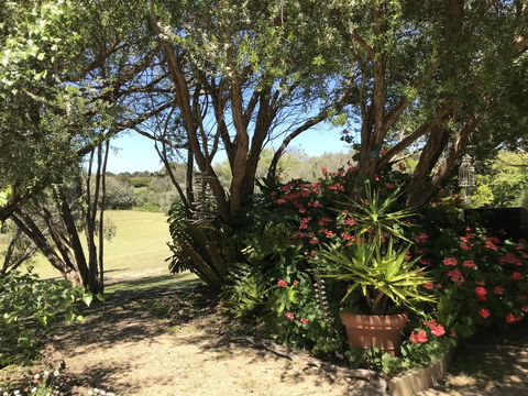 The Fingal Farm - Yamba Accommodation 9