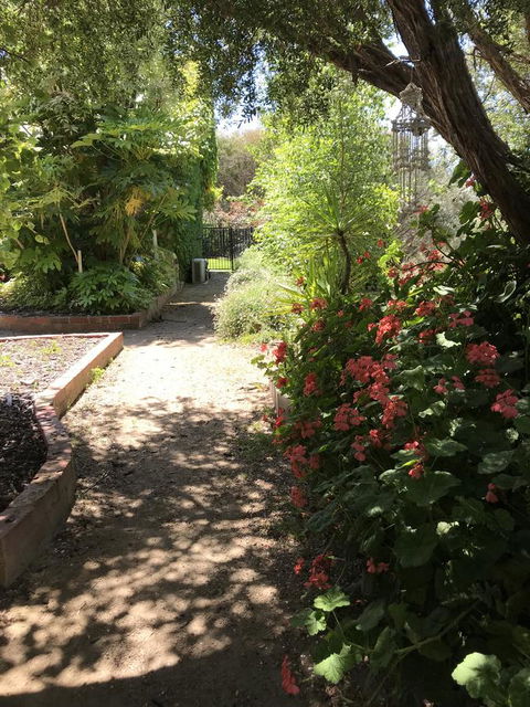The Fingal Farm - Yamba Accommodation 19