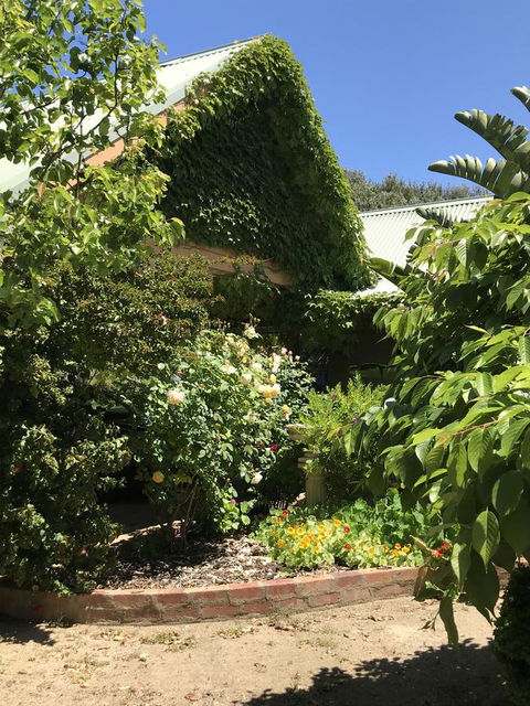 The Fingal Farm - Yamba Accommodation 7