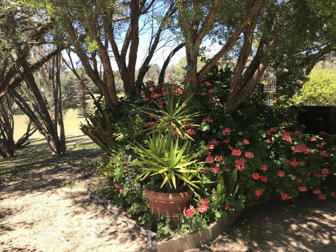The Fingal Farm - Yamba Accommodation 33