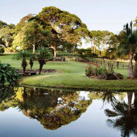 The BlueGreen SANCTUARY - Yamba Accommodation 3