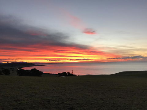 The Cove Tasmania - Yamba Accommodation 1