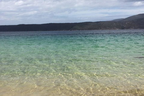 The Cove... On The Rocks At Port Arthur - Yamba Accommodation 1