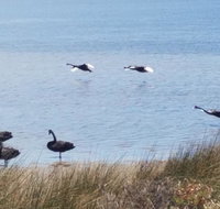 The DOLPHIN PLACE - Yamba Accommodation