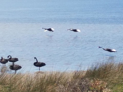 The DOLPHIN PLACE - Yamba Accommodation 0