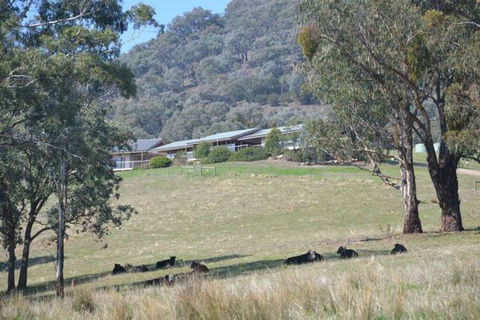 The Homestead At Holmeslgen At Eildon - Yamba Accommodation 1