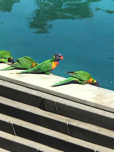 The Pool House - Yamba Accommodation 1