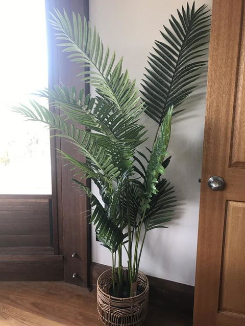 The Pool House - Yamba Accommodation 3