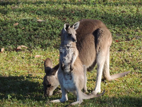 The Pouch B & B - Yamba Accommodation 2