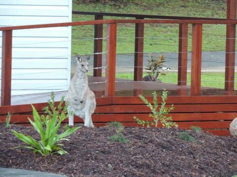 The Pouch B & B - Yamba Accommodation 1