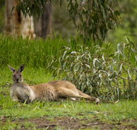 The Stirling Golf Club - Yamba Accommodation