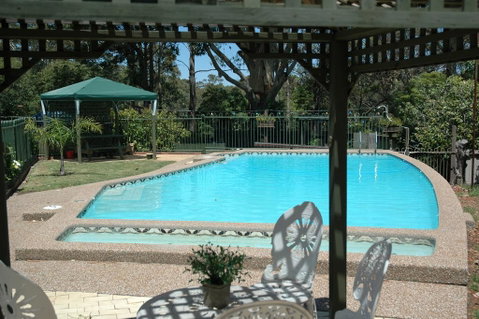 The Tree Motel - Yamba Accommodation 0