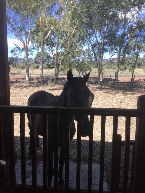 Thie My Chree Retreat - Yamba Accommodation 3