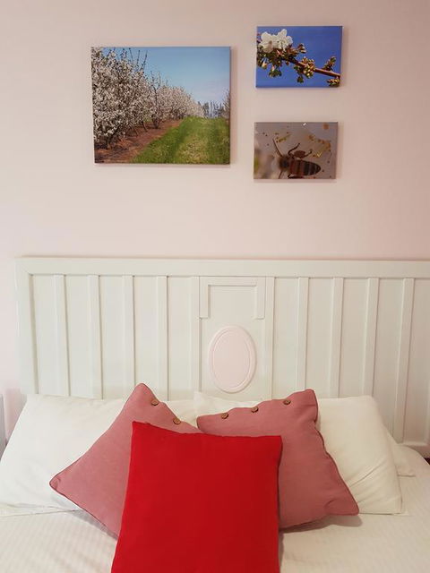 Town House Motor Inn Young - Yamba Accommodation 1