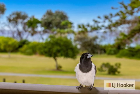 TRADEWINDS 1 - Yamba Accommodation 1