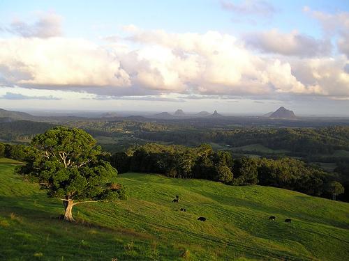 Maleny QLD Yamba Accommodation