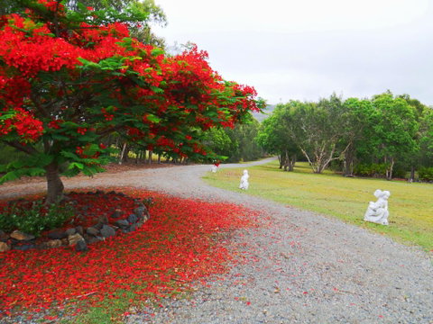 TRANQUILO BEACH HOUSE - Yamba Accommodation 1